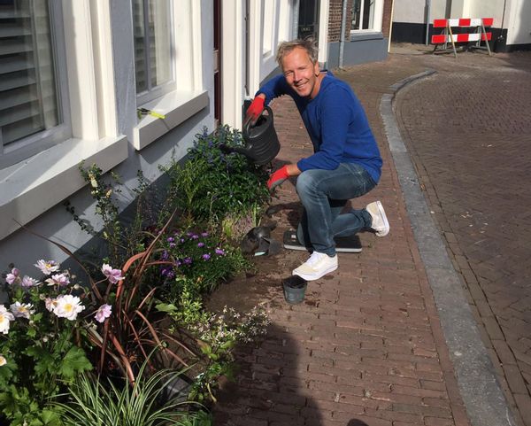 Groen voor stenen