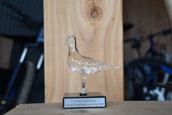 De prijs