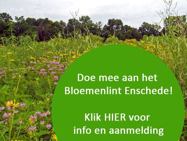 doe mee aan het bloemenlint