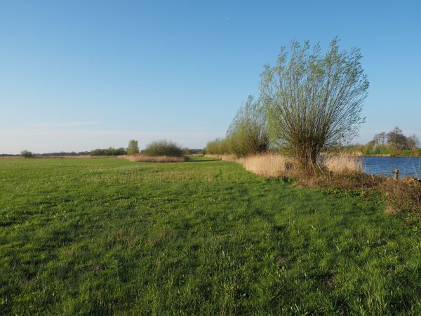 Buitenlanden Langenholte, één van de werkgebieden van de natuurwerkgroep