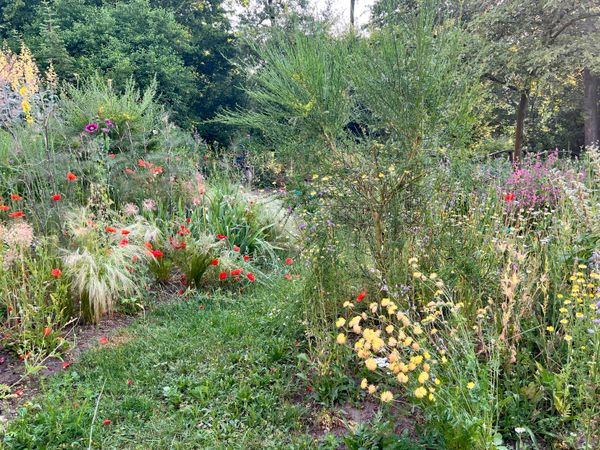 Een kleurrijk geheel