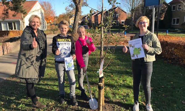 In Hof van Twente worden de bomen uitgeleverd door een speciaal hiervoor geformeerde boomwerkgroep. Daar komen de bomen bijvoorbeeld bij een stadslandbouwproject in Goor, in een buurtboomgaard en bij een aantal scholen. Geen feest of activiteiten op verordening van de gemeente Hof van Twente, maar zegt Ina van de Riet van Groene Loper Hof van Twente: “De bomen gaan de grond in! Er is beweging en we komen steeds een stapje verder met stedelijke vergroening en biodiversiteit.” De Groene Loper had zelf ook nog een actie op boomfeestdag: alle negen basisscholen in de gemeente kregen een fruitboom. Helaas geen leuke activiteiten voor de schoolkinderen, maar dat halen ze vast nog wel in.