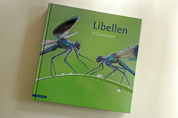 Boek, Libellen in Overijssel