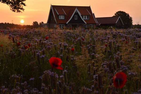 De natuurakker bij zonsopkomst