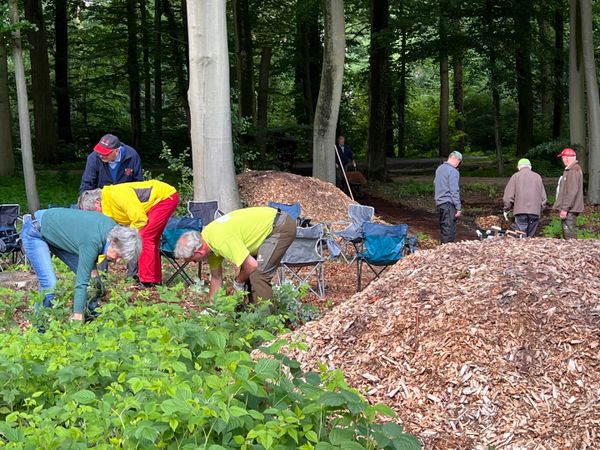 Onkruid trekken en paden aanleggen